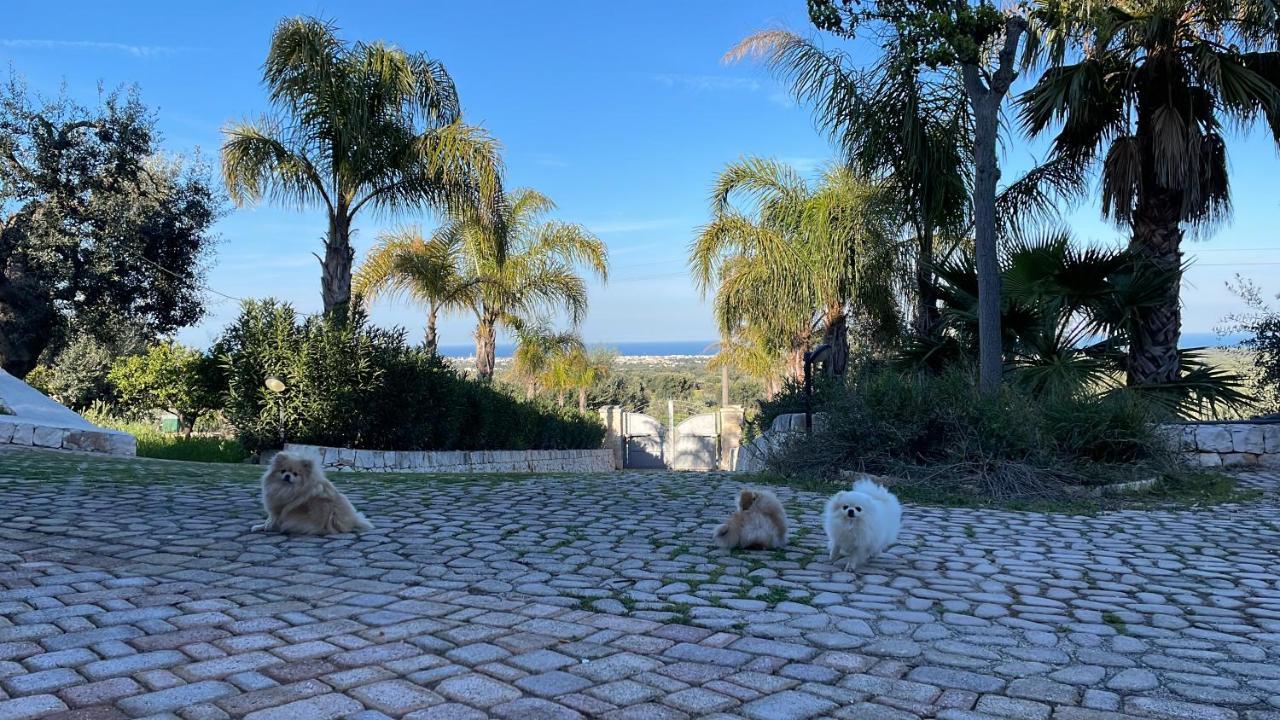 Alla Villa Di Angelo Monopoli Kültér fotó