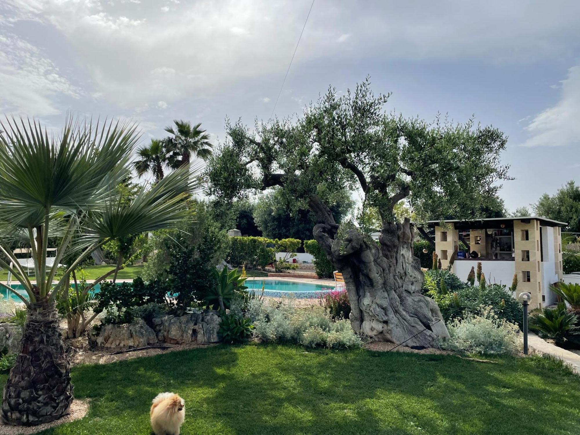 Alla Villa Di Angelo Monopoli Kültér fotó
